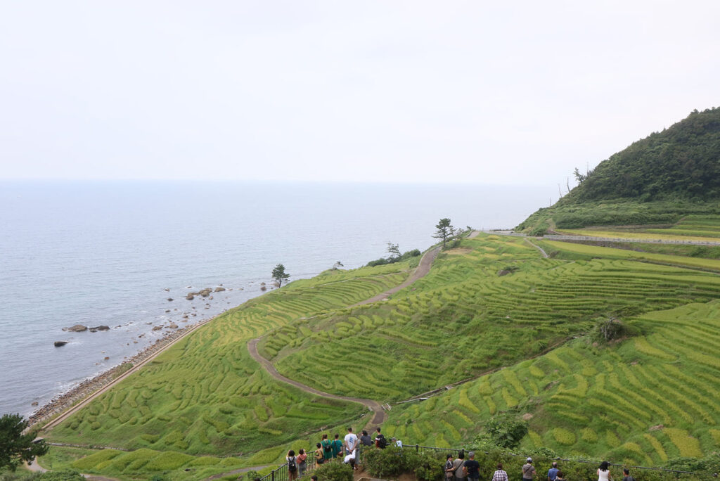 世界農業遺産「能登の里山里海」 | 活動領域 | 金沢大学ユネスコチェア
